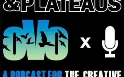 Peaks, Valleys & Plateaus Podcast Interview